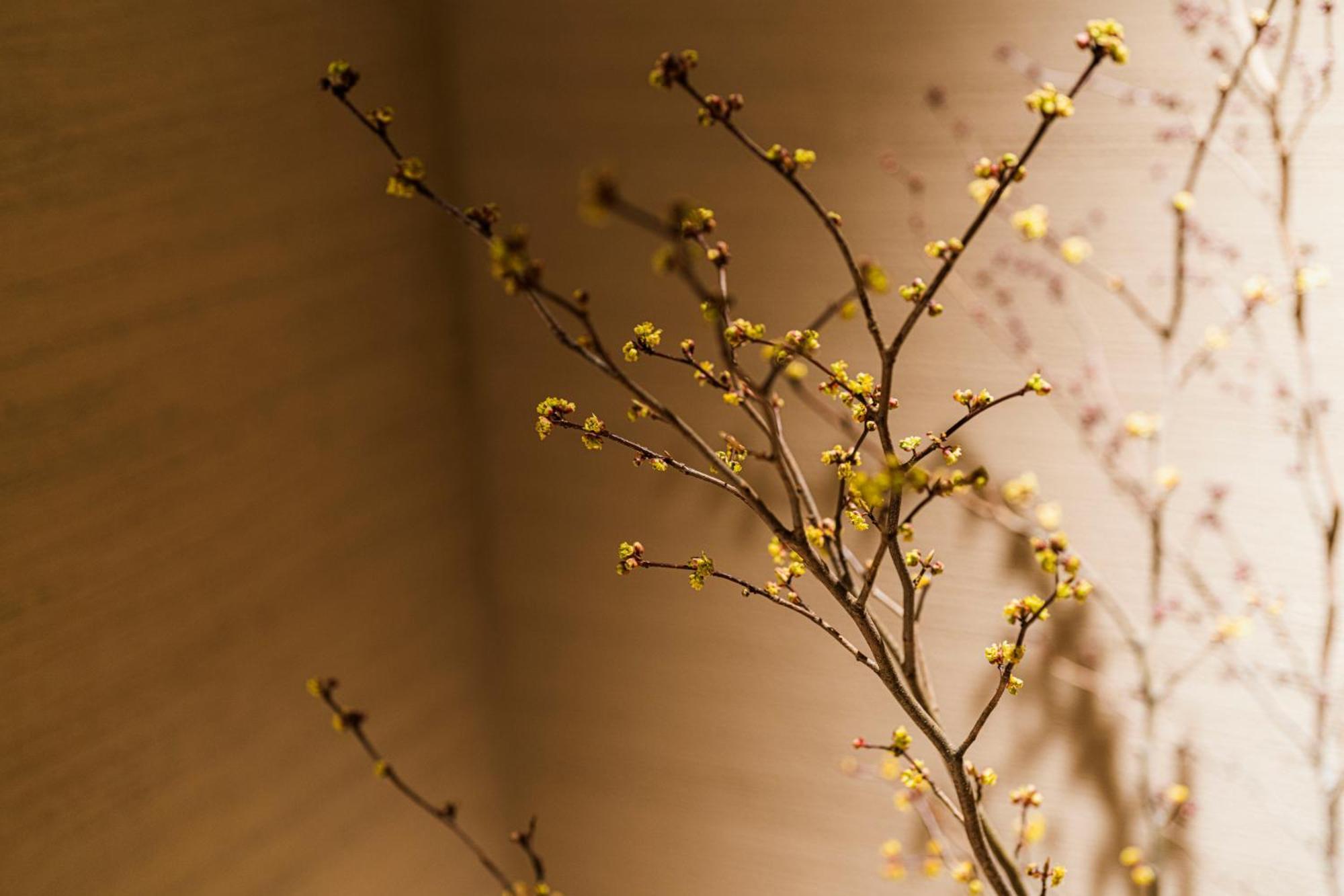 Shinzan Kinosaki Hotel Тойока Екстериор снимка